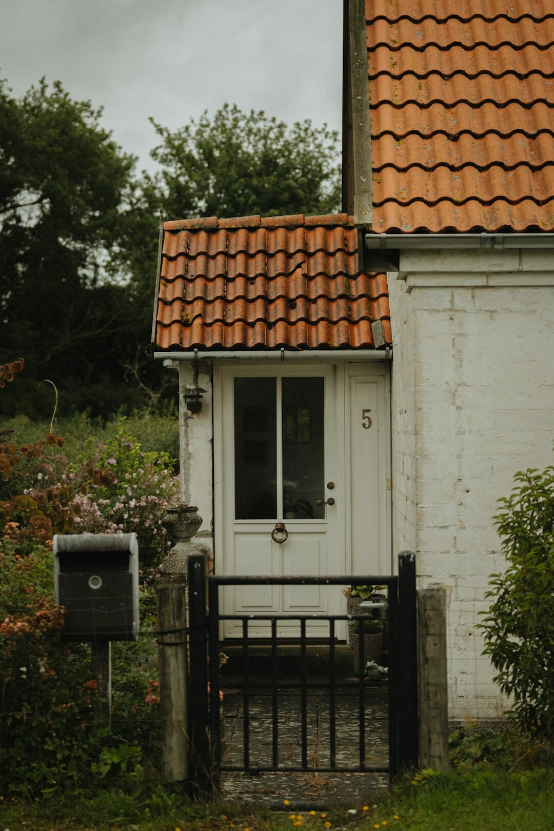 neighbor interview in denmark