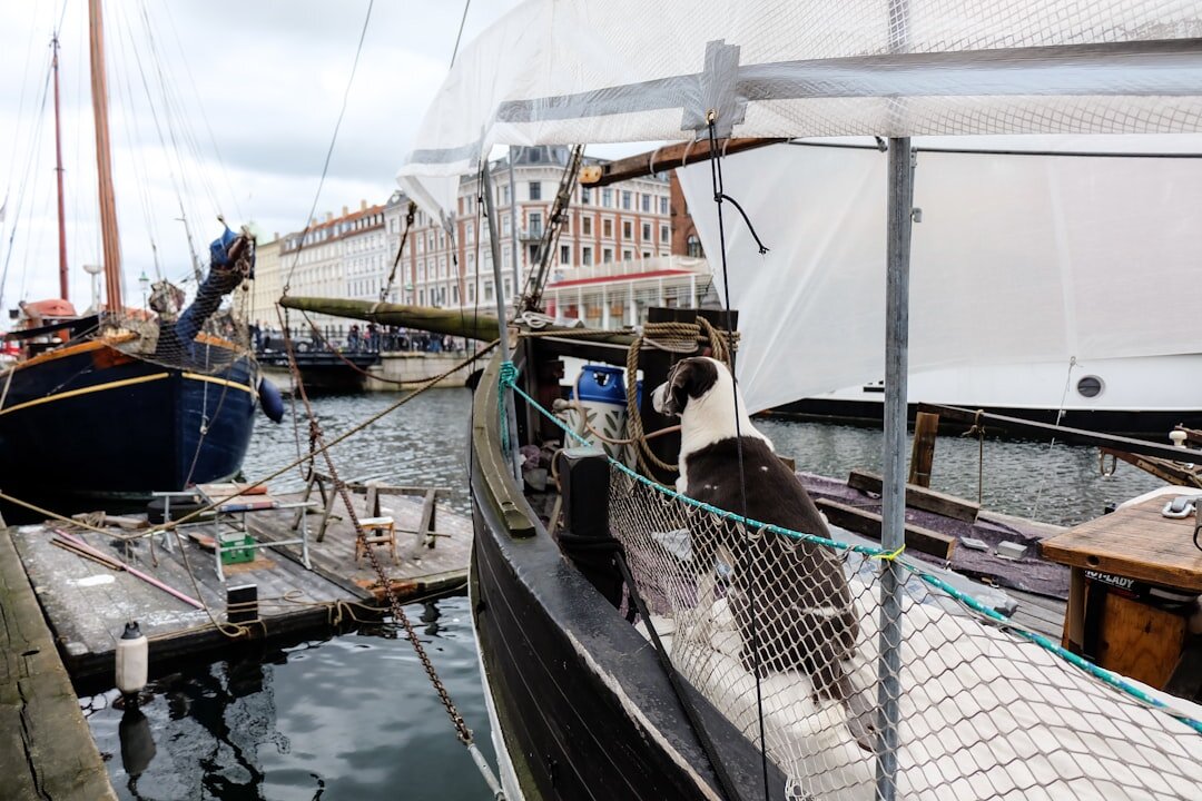 Elderly Danish fisherman mending fishing nets